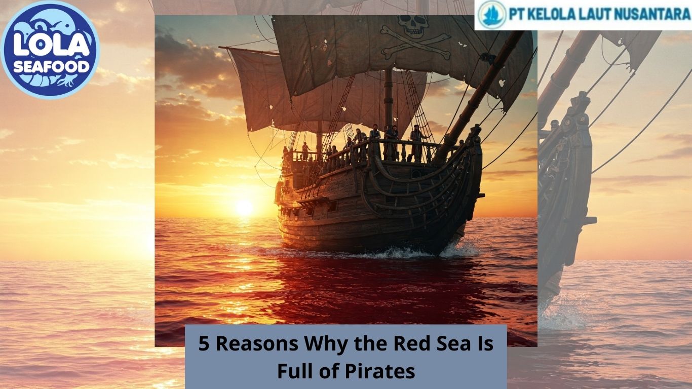 5 Reasons Why the Red Sea Is Full of Pirates